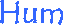 Hum